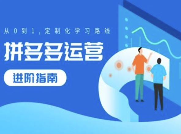 拼多多运营进阶指南，从0到1定制化学习路线-928网创