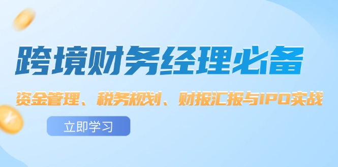 （12323期）跨境 财务经理必备：资金管理、税务规划、财报汇报与IPO实战-928网创