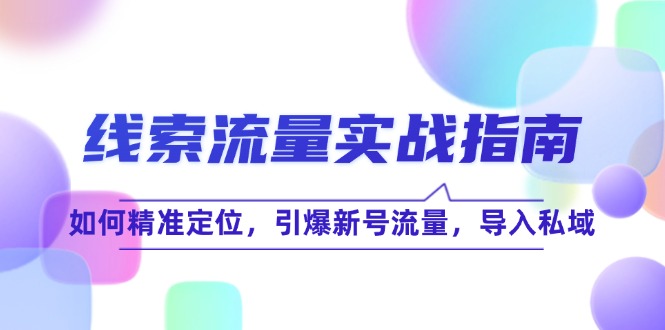 （12382期）线 索 流 量-实战指南：如何精准定位，引爆新号流量，导入私域-928网创