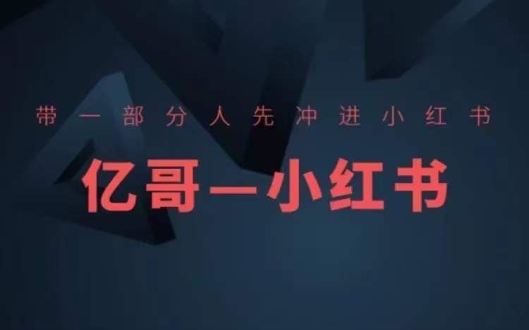 ​​带一部分人先冲进小红书，小红书开店、选品、爆款裂变-928网创