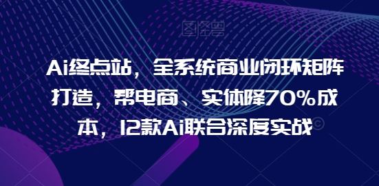 Ai终点站，全系统商业闭环矩阵打造，帮电商、实体降70%成本，12款Ai联合深度实战【0906更新】-928网创