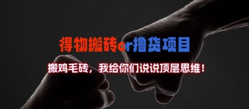得物搬砖撸货项目?掰下数据，我给你们说说顶层思维【揭秘】-928网创