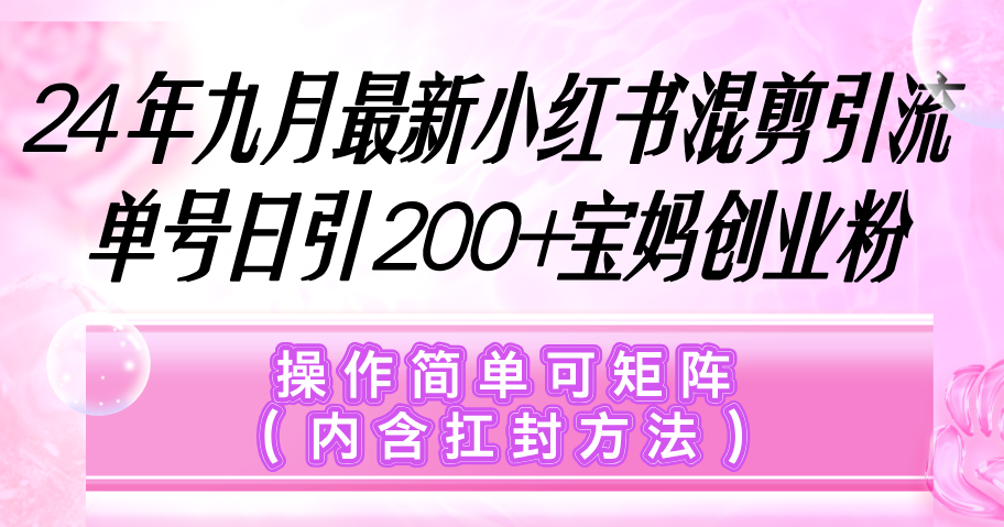 （12530期）小红书混剪引流，单号日引200+宝妈创业粉，操作简单可矩阵（内含扛封…-928网创