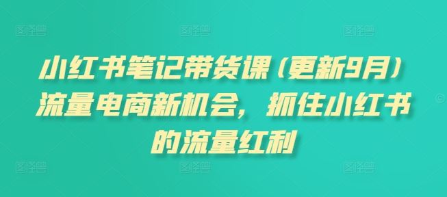 小红书笔记带货课(更新9月)流量电商新机会，抓住小红书的流量红利-928网创