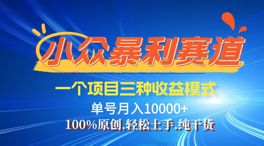 （12579期）【老人言】-视频号爆火赛道，三种变现方式，0粉新号调调爆款-928网创