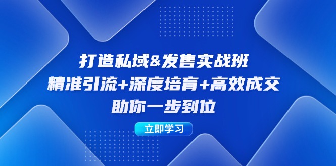 （12642期）打造私域&发售实操班：精准引流+深度培育+高效成交，助你一步到位-928网创