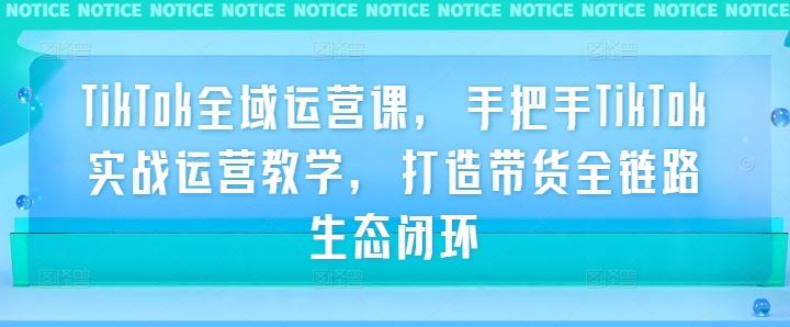 TikTok全域运营课，手把手TikTok实战运营教学，打造带货全链路生态闭环-928网创