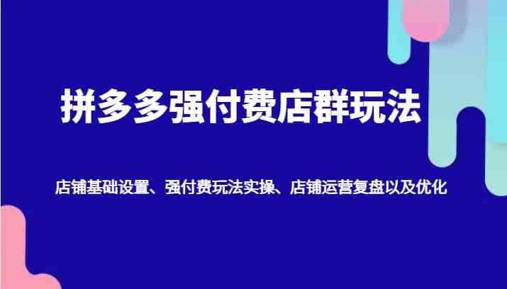 拼多多强付费店群玩法：店铺基础设置、强付费玩法实操、店铺运营复盘以及优化-928网创