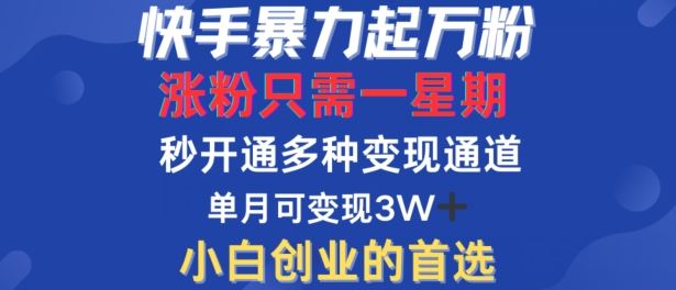 快手暴力起万粉，涨粉只需一星期，多种变现模式，直接秒开万合，单月变现过W【揭秘】-928网创