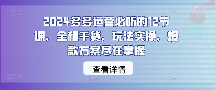 2024多多运营必听的12节课，全程干货，玩法实操，爆款方案尽在掌握-928网创