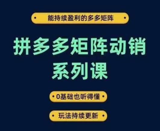 拼多多矩阵动销系列课，能持续盈利的多多矩阵，0基础也听得懂，玩法持续更新-928网创
