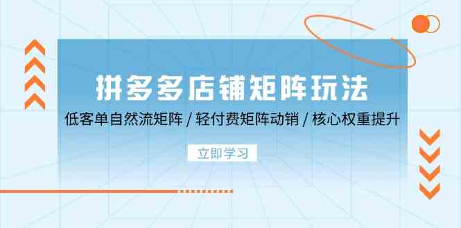 拼多多店铺矩阵玩法：低客单自然流矩阵 / 轻付费矩阵 动销 / 核心权重提升-928网创