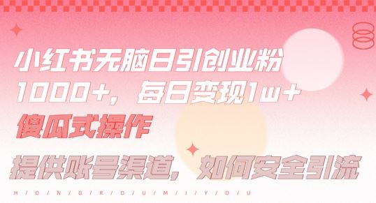 小红书无脑每日引流创业粉500+，小白每天只花半小时，躺赚长尾收益【揭秘】-928网创