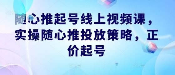 随心推起号线上视频课，实操随心推投放策略，正价起号-928网创