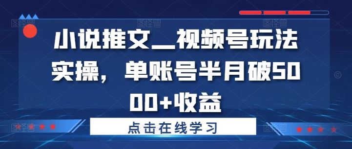 小说推文—视频号玩法实操，单账号半月破5000+收益-928网创