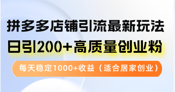 （12893期）拼多多店铺引流最新玩法，日引200+高质量创业粉，每天稳定1000+收益（…-928网创