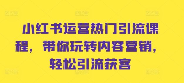 小红书运营热门引流课程，带你玩转内容营销，轻松引流获客-928网创