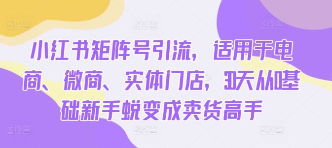 小红书矩阵号引流，适用于电商、微商、实体门店，30天从0基础新手蜕变成卖货高手-928网创
