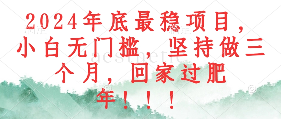 （12970期）2024年底最稳项目，小白无门槛，坚持做三个月，回家过肥年！！！-928网创