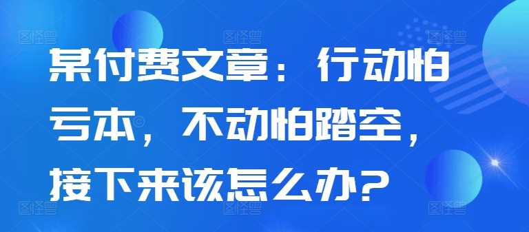 某付费文章：行动怕亏本，不动怕踏空，接下来该怎么办?-928网创