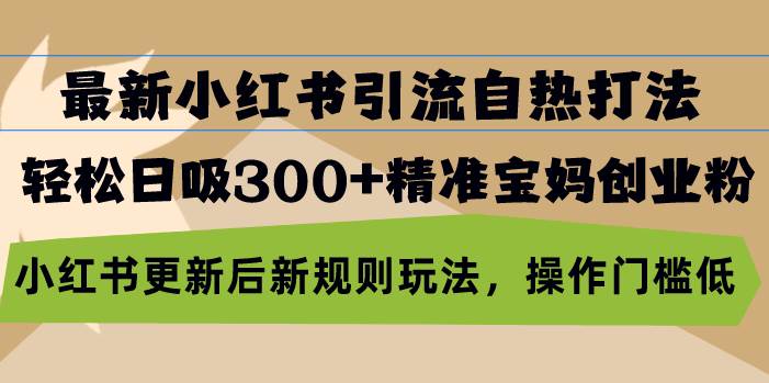 （13145期）最新小红书引流自热打法，轻松日吸300+精准宝妈创业粉，小红书更新后新…-928网创