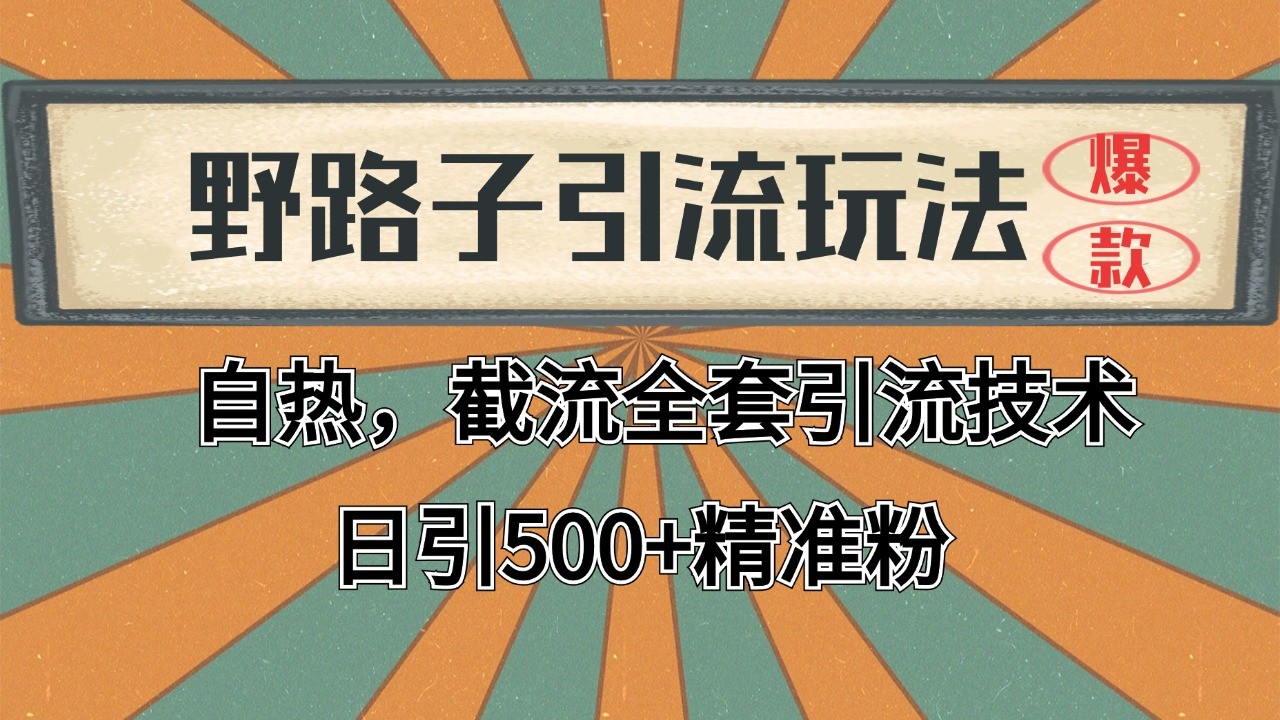 抖音小红书视频号全平台引流打法，全自动引流日引2000+精准客户-928网创