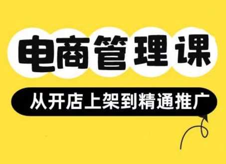 小红书&闲鱼开店从开店上架到精通推广，电商管理课-928网创
