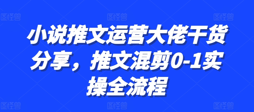 小说推文运营大佬干货分享，推文混剪0-1实操全流程-928网创