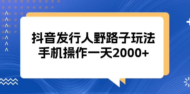 （13220期）抖音发行人野路子玩法，手机操作一天2000+-928网创