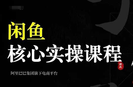 2024闲鱼核心实操课程，从养号、选品、发布、销售，教你做一个出单的闲鱼号-928网创