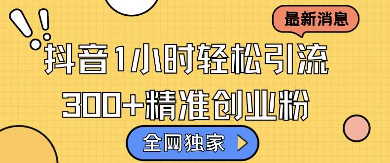 全网独家抖音引流，轻松日引300+精准创业粉【揭秘】-928网创