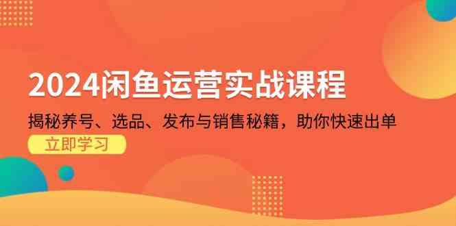 2024闲鱼运营实战课程：揭秘养号、选品、发布与销售秘籍，助你快速出单-928网创
