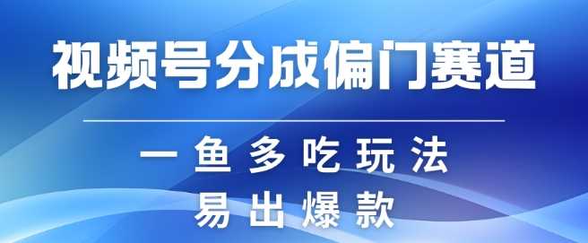 视频号创作者分成计划偏门类目，容易爆流，实拍内容简单易做【揭秘】-928网创