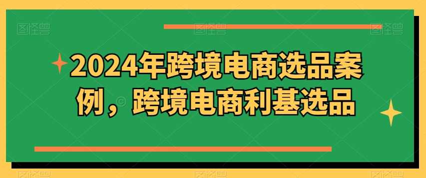2024年跨境电商选品案例，跨境电商利基选品（更新11月）-928网创