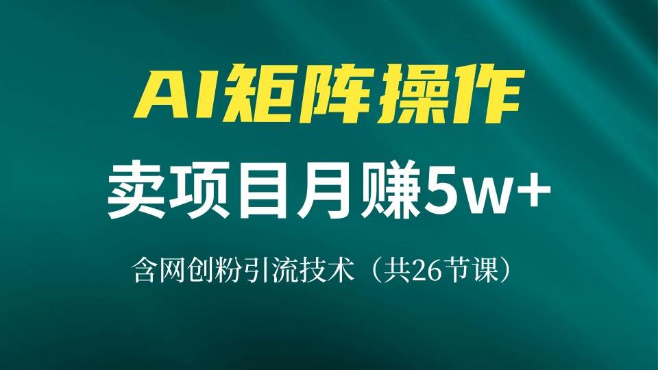 （13335期）网创IP打造课，借助AI卖项目月赚5万+，含引流技术（共26节课）-928网创