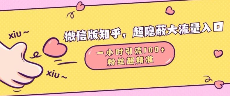 微信版知乎，超隐蔽流量入口1小时引流100人，粉丝质量超高【揭秘】-928网创