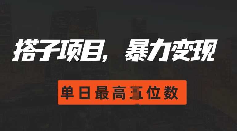 2024搭子玩法，0门槛，暴力变现，单日最高破四位数【揭秘】-928网创