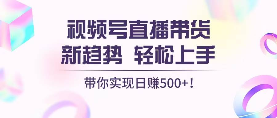 （13370期）视频号直播带货新趋势，轻松上手，带你实现日赚500+-928网创