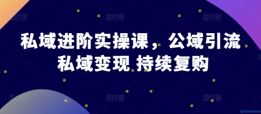 私域进阶实操课，公域引流 私域变现 持续复购-928网创
