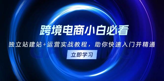（13503期）跨境电商小白必看！独立站建站+运营实战教程，助你快速入门并精通-928网创