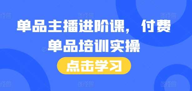 单品主播进阶课，付费单品培训实操，46节完整+话术本-928网创