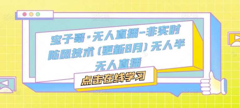 宝子哥·无人直播-非实时防风技术(更新11月)无人半无人直播-928网创