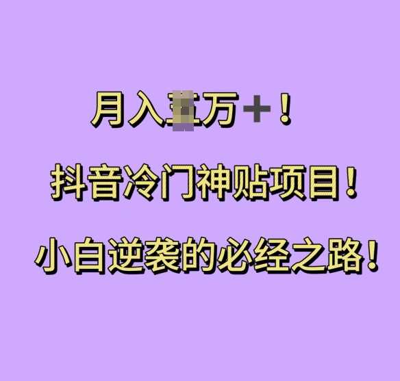 抖音冷门神贴项目，小白逆袭的必经之路，月入过W【揭秘】-928网创