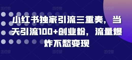 小红书独家引流三重奏，当天引流100+创业粉，流量爆炸不愁变现【揭秘】-928网创