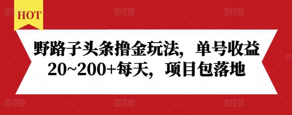 野路子头条撸金玩法，单号收益20~200+每天，项目包落地-928网创