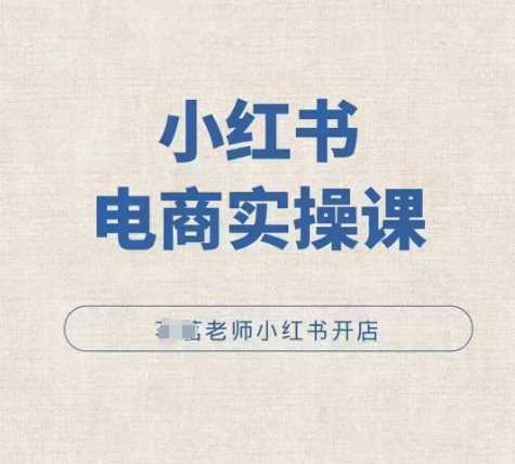 小红薯电商实操课，小红书开店实操必学课-928网创